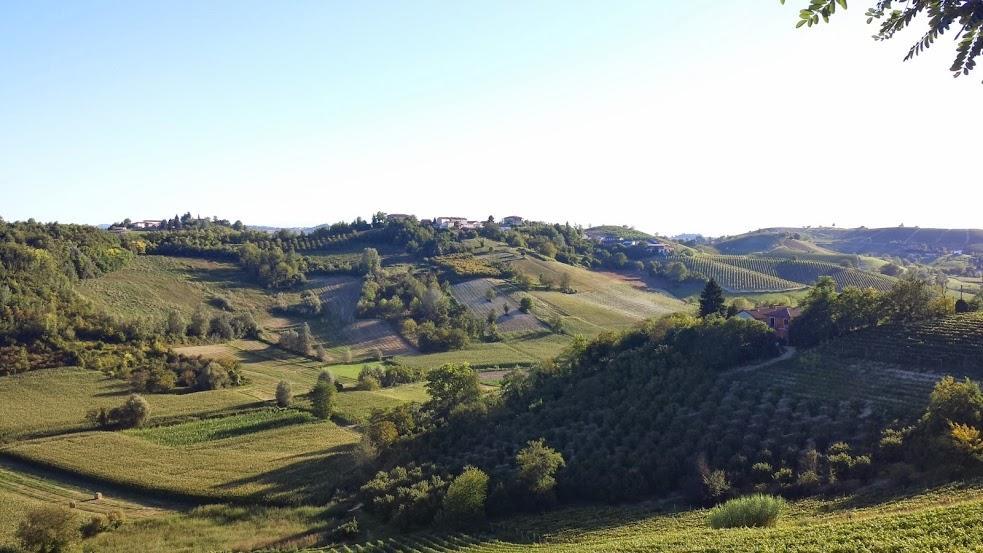 Alta Villa The Countryhouse Adults Only Boutique Bnb Vigliano d'Asti 外观 照片